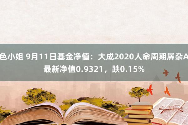色小姐 9月11日基金净值：大成2020人命周期羼杂A最新净值0.9321，跌0.15%