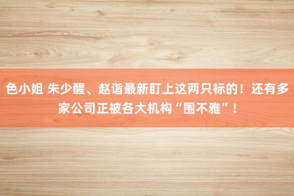 色小姐 朱少醒、赵诣最新盯上这两只标的！还有多家公司正被各大机构“围不雅”！