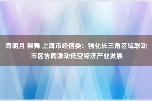 寄明月 裸舞 上海市经信委：强化长三角区域联动 市区协同激动低空经济产业发展