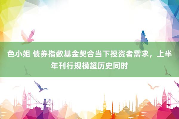 色小姐 债券指数基金契合当下投资者需求，上半年刊行规模超历史同时