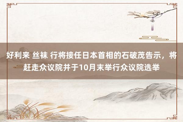 好利来 丝袜 行将接任日本首相的石破茂告示，将赶走众议院并于10月末举行众议院选举