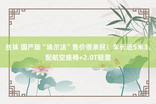 丝袜 国产版“埃尔法”售价很亲民！车长近5米3，配航空座椅+2.0T轻混