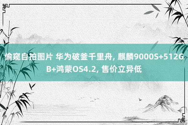 偷窥自拍图片 华为破釜千里舟， 麒麟9000S+512GB+鸿蒙OS4.2， 售价立异低