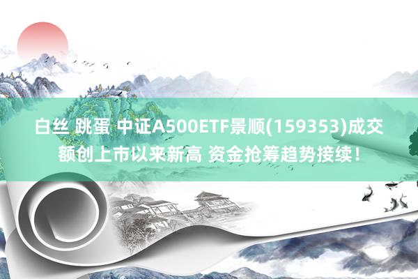 白丝 跳蛋 中证A500ETF景顺(159353)成交额创上市以来新高 资金抢筹趋势接续！