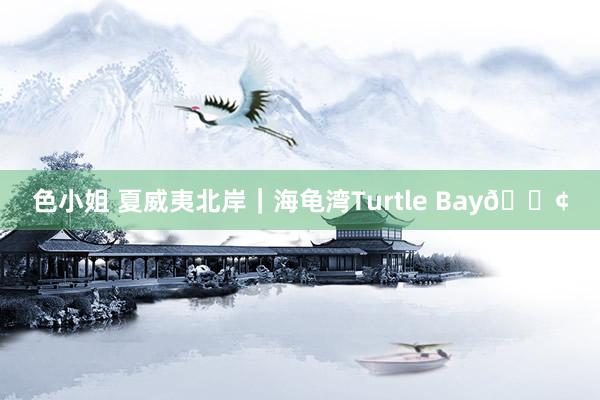 色小姐 夏威夷北岸|海龟湾Turtle Bay🐢