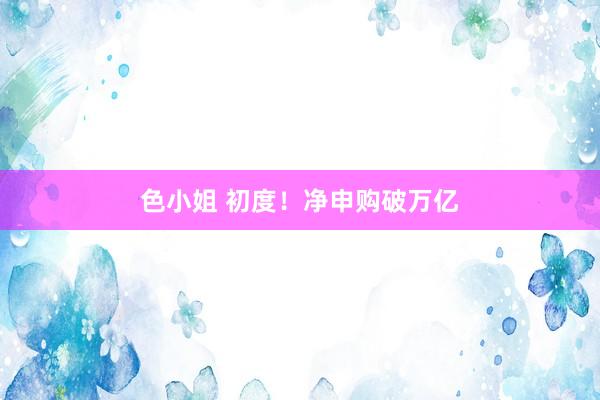 色小姐 初度！净申购破万亿