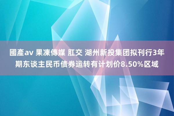 國產av 果凍傳媒 肛交 湖州新投集团拟刊行3年期东谈主民币债券运转有计划价8.50%区域
