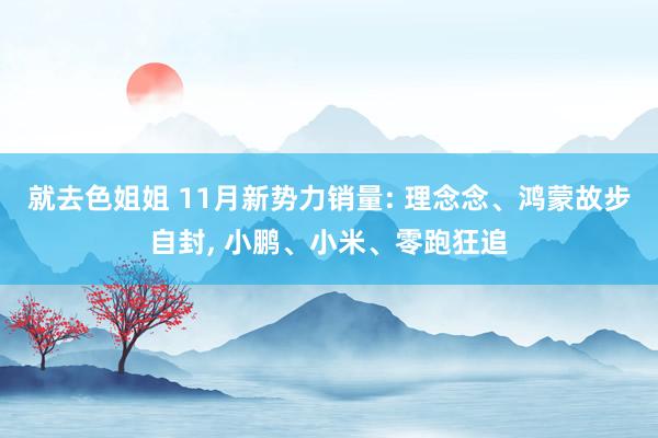 就去色姐姐 11月新势力销量: 理念念、鸿蒙故步自封， 小鹏、小米、零跑狂追