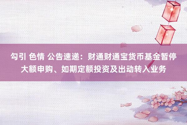 勾引 色情 公告速递：财通财通宝货币基金暂停大额申购、如期定额投资及出动转入业务