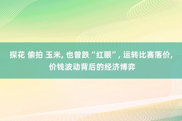 探花 偷拍 玉米， 也曾跌“红眼”， 运转比赛落价， 价钱波动背后的经济博弈