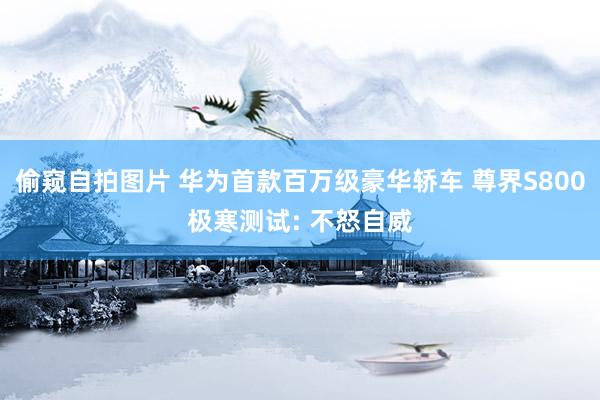 偷窥自拍图片 华为首款百万级豪华轿车 尊界S800极寒测试: 不怒自威